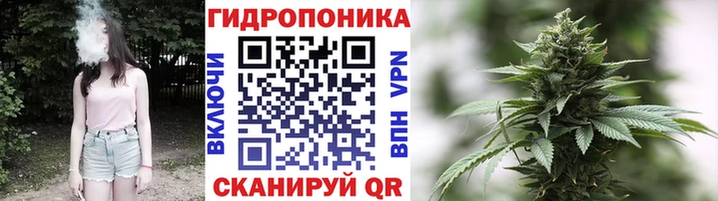 Бошки Шишки сатива Кропоткин